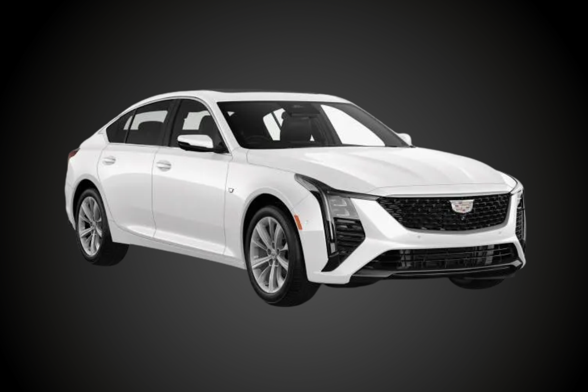 How to do damping in Cadillac CT5 – Focus on doors, floor, and firewall to achieve premium cabin quietness