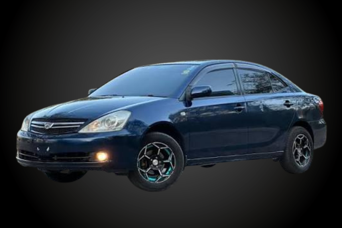 How to do damping in Toyota Allion - Reduce tyre roar and road vibrations for a smoother sedan driving experience.